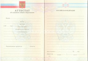Аттестат за 9 класс 2007-2010 в Камышине