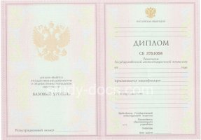 Диплом колледжа 2003-2006 в Камышине