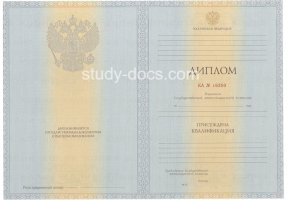 Диплом специалиста 2012-2013 в Камышине