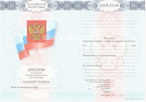 Диплом техникума 2007-2010 в Камышине